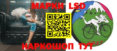 дмт Новокубанск