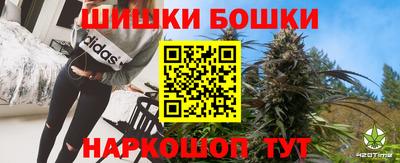 индика Новозыбков