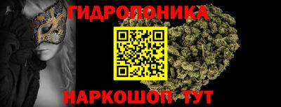 jwh Новодвинск