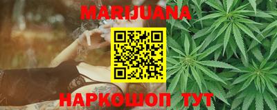 индика Новозыбков