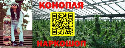 индика Новозыбков