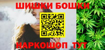 индика Новозыбков