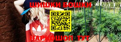 индика Новозыбков
